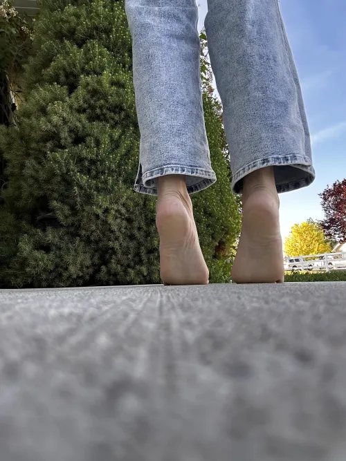 Come walk with me this morning