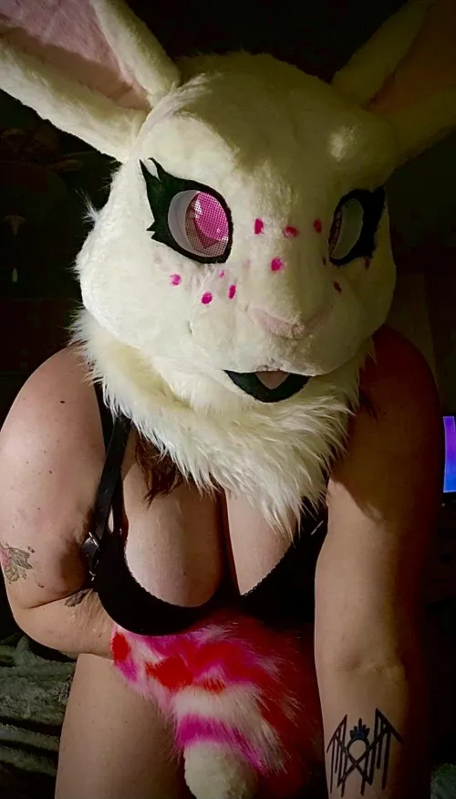 Do you like bunny girls?