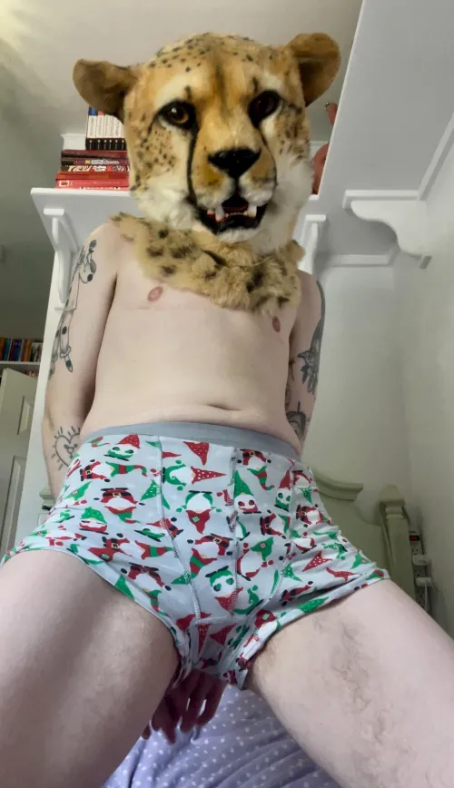 How long could you last with this kittyboi on your lap? 😻