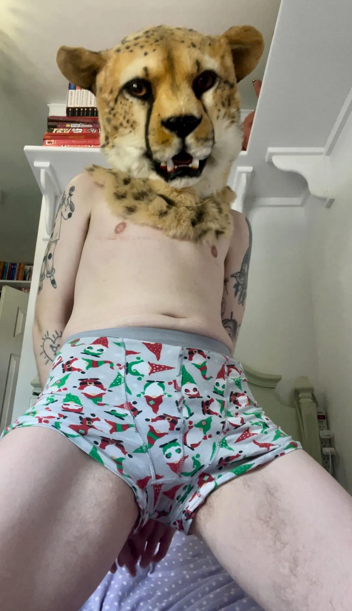 How long could you last with this kittyboi on your lap? 😻