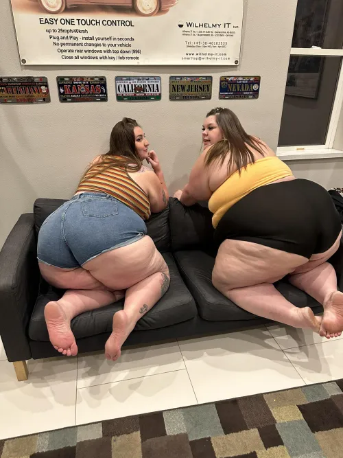 Is two asses better than one?