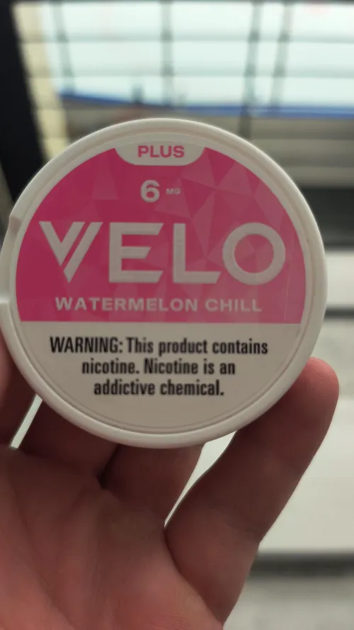 Just when I was going to quit, I find Velo Plus Watermelon Chill...