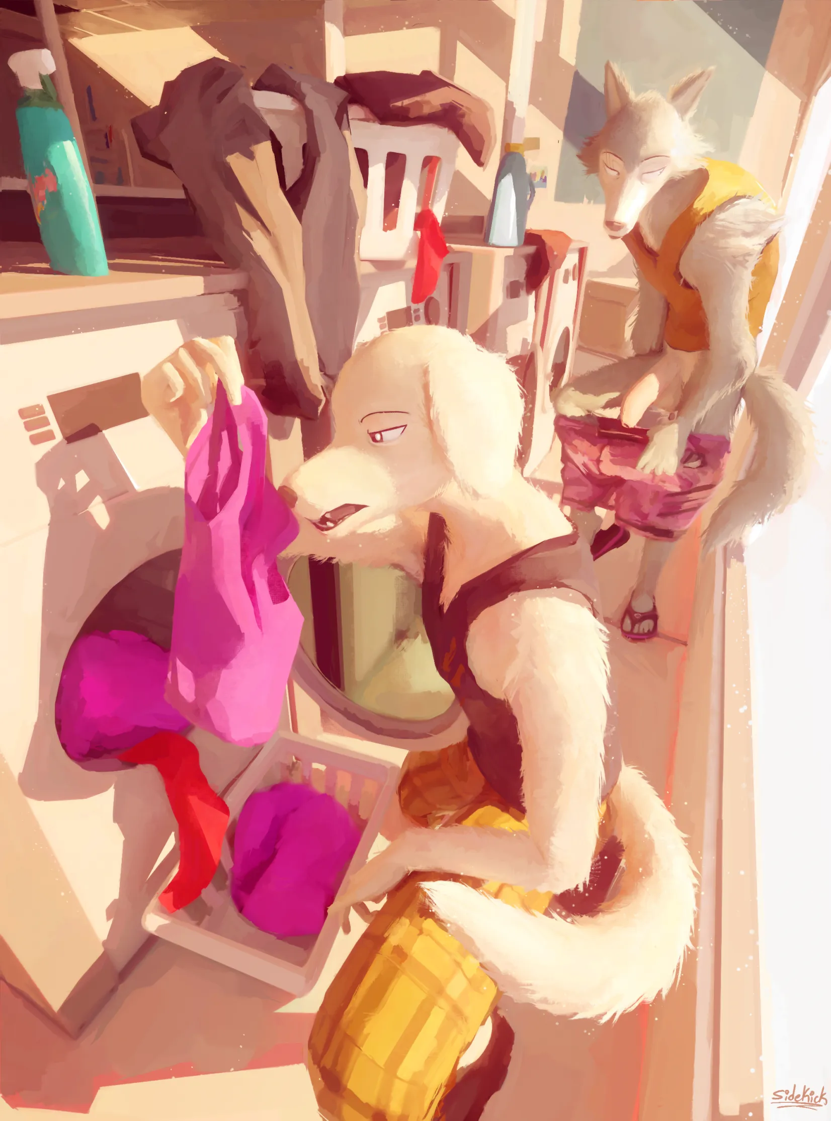 Laundry Day (SideKick)