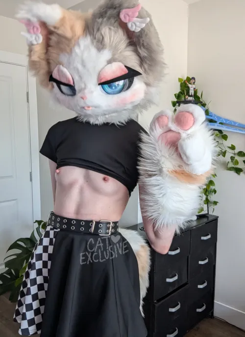 Little did you knows....it was evil kitty.... >:3