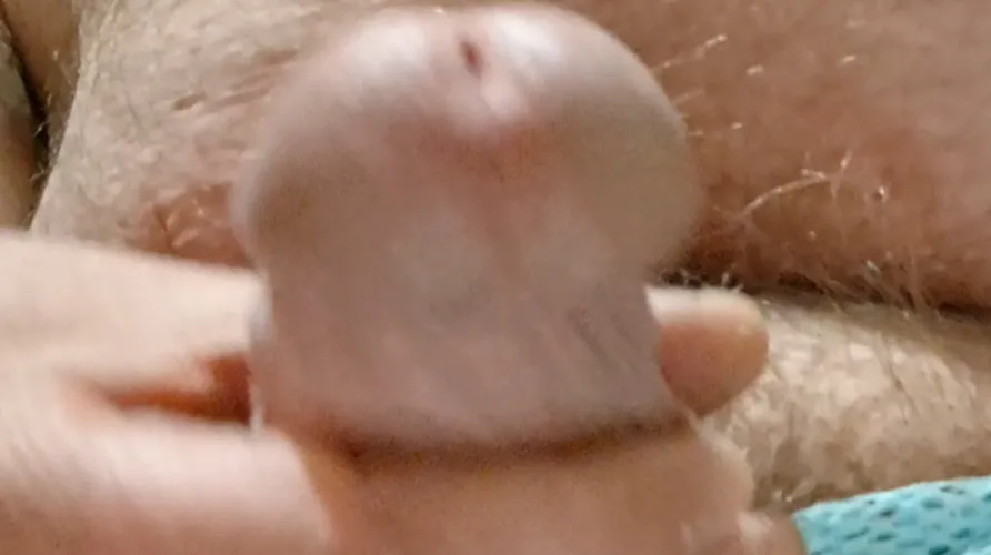 Looking for frot bud in East Tennessee