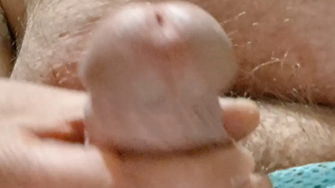 Looking for frot bud in East Tennessee