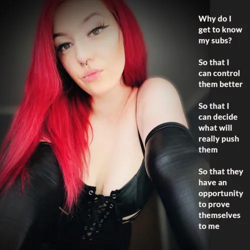 Understanding is dominating