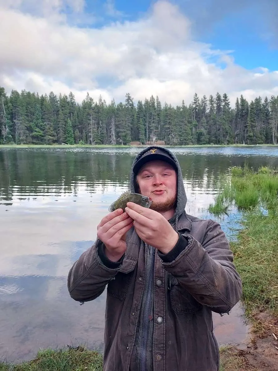 22M4F bend la pine area got dumped a week ago need a women to take my mind off things for a night