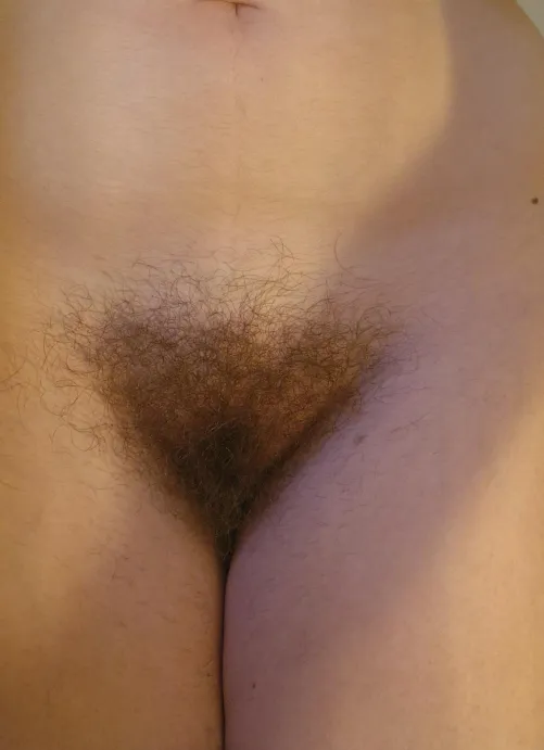 caught the sunrise today :)