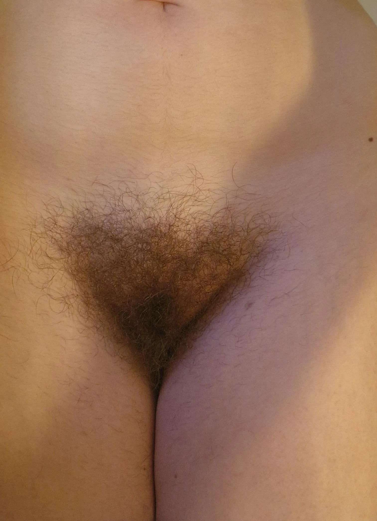 caught the sunrise today :)