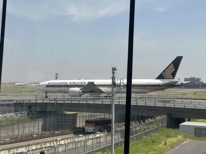 Couple visiting Indore - experience and well travelled