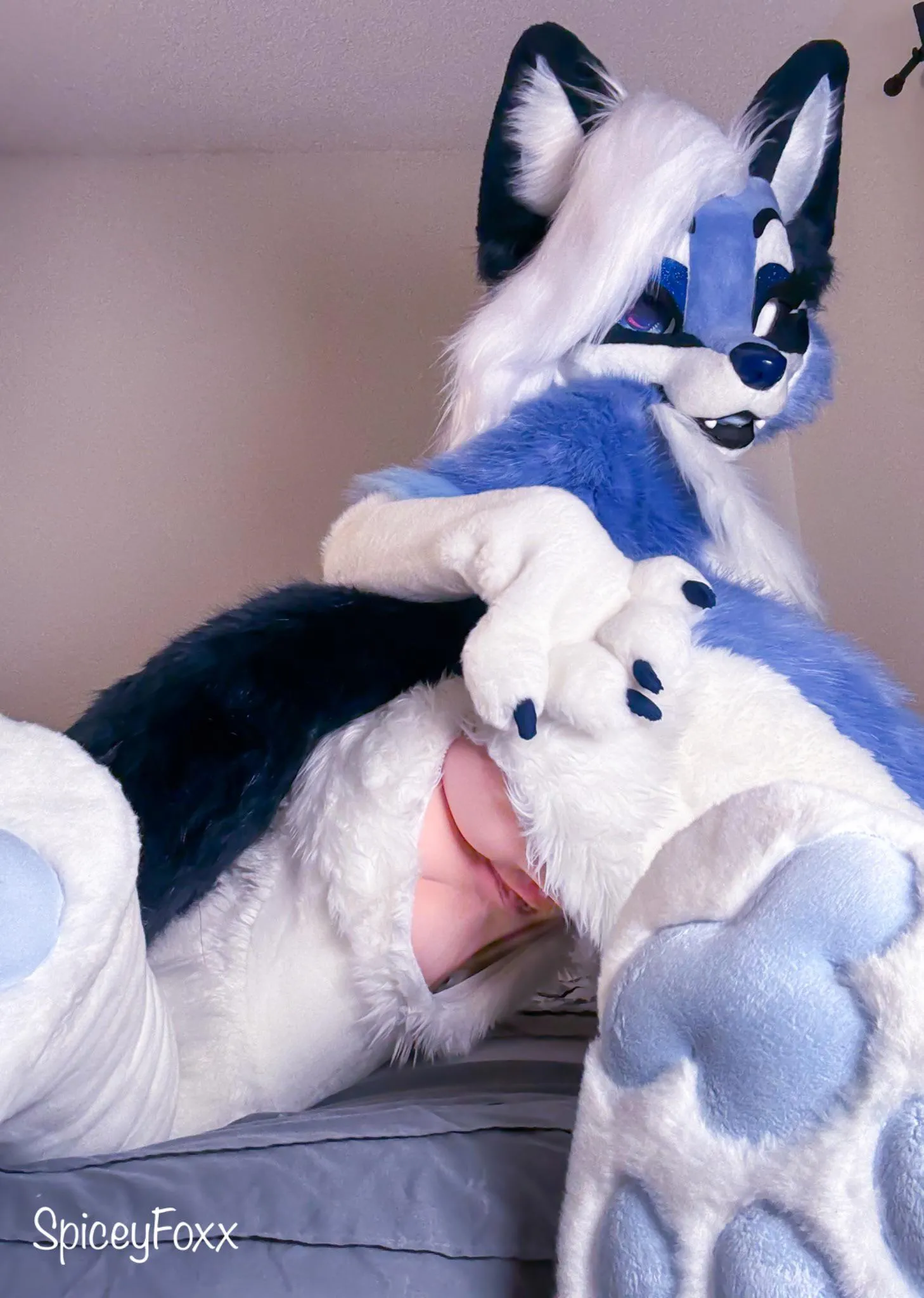 Mount this puppy? ❤️ [SpiceyFoxx]