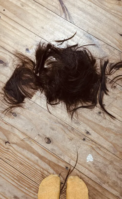 Someone dared to do something crazy and cut a lot of hair 🫣