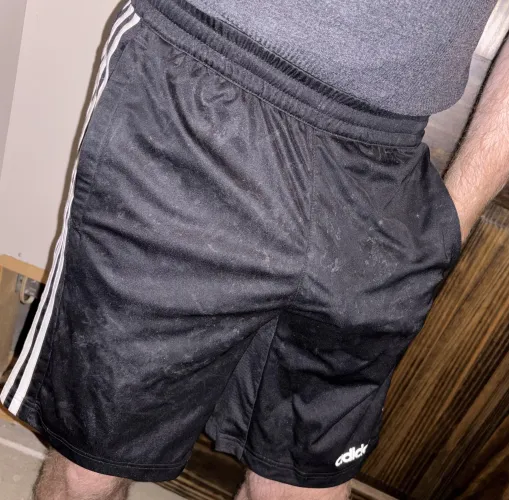 They smell as good as they look