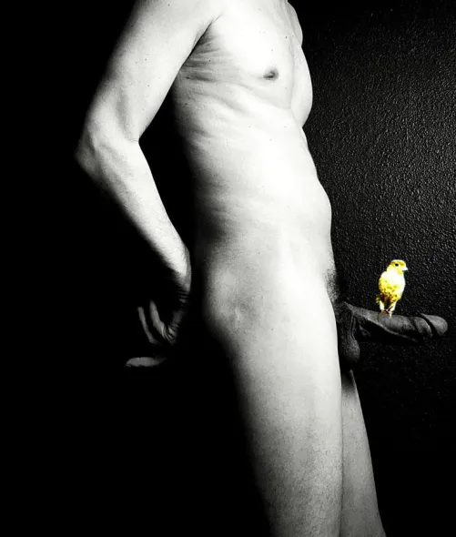 You must love the birdies..to give them this to perch on