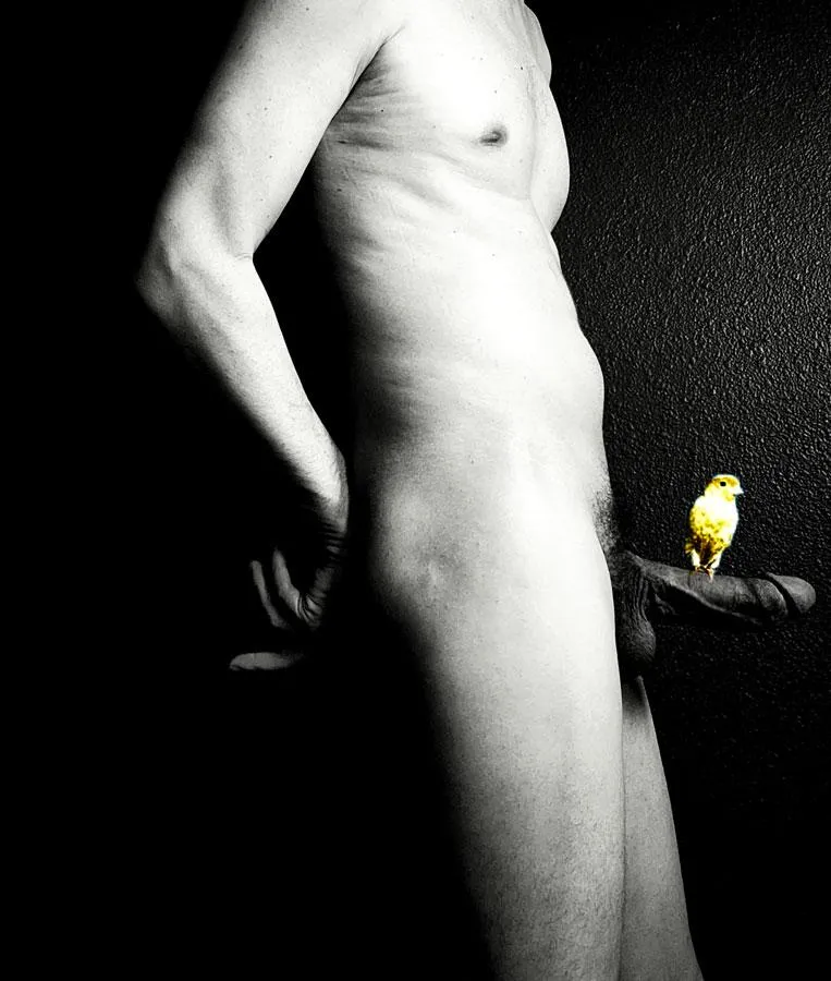 You must love the birdies..to give them this to perch on