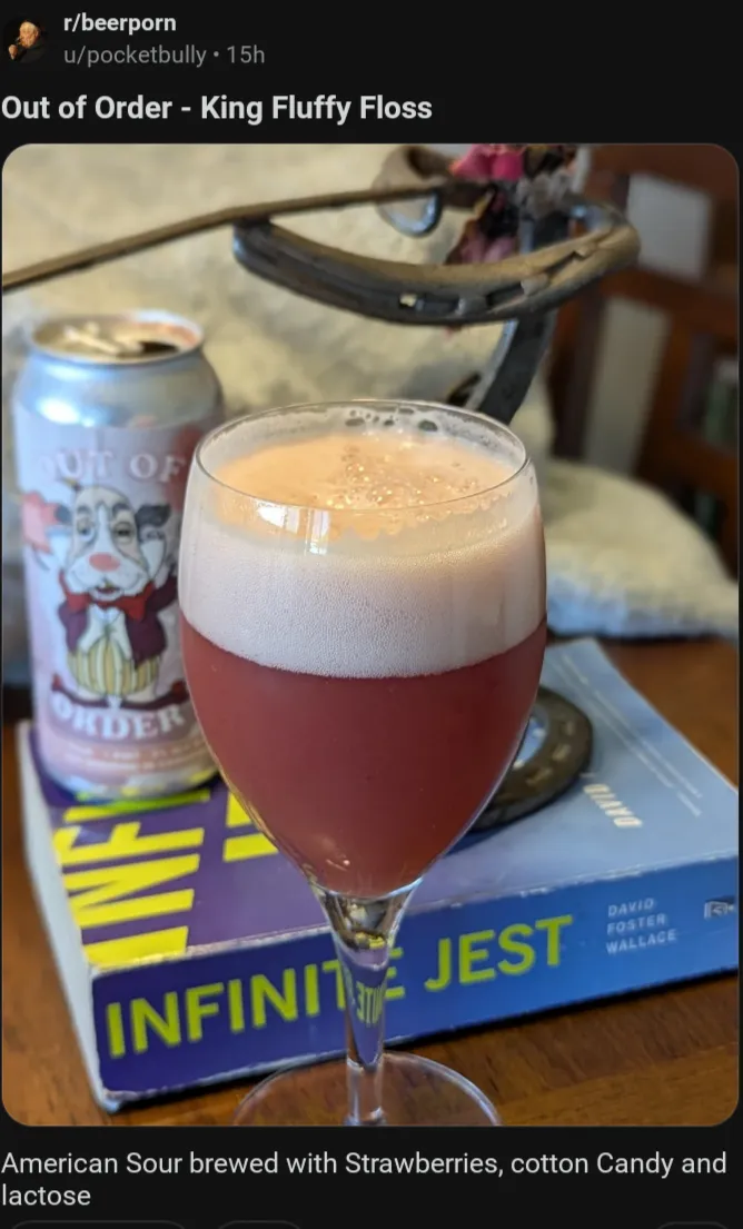 Average Infinite Jest Reader™