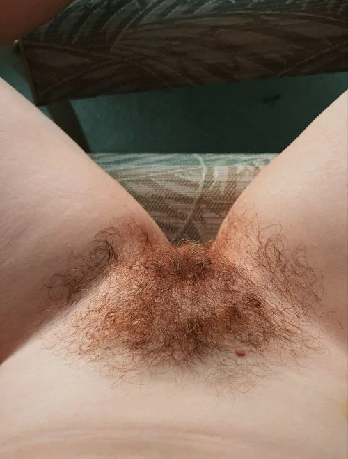 I love how wild it looks when I don't even try to tame it