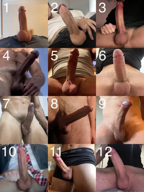 Which one of these is the ugliest and why? Please add a comment and upvote!