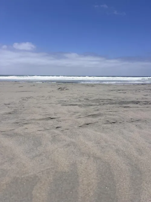 Windy but a gorgeous day