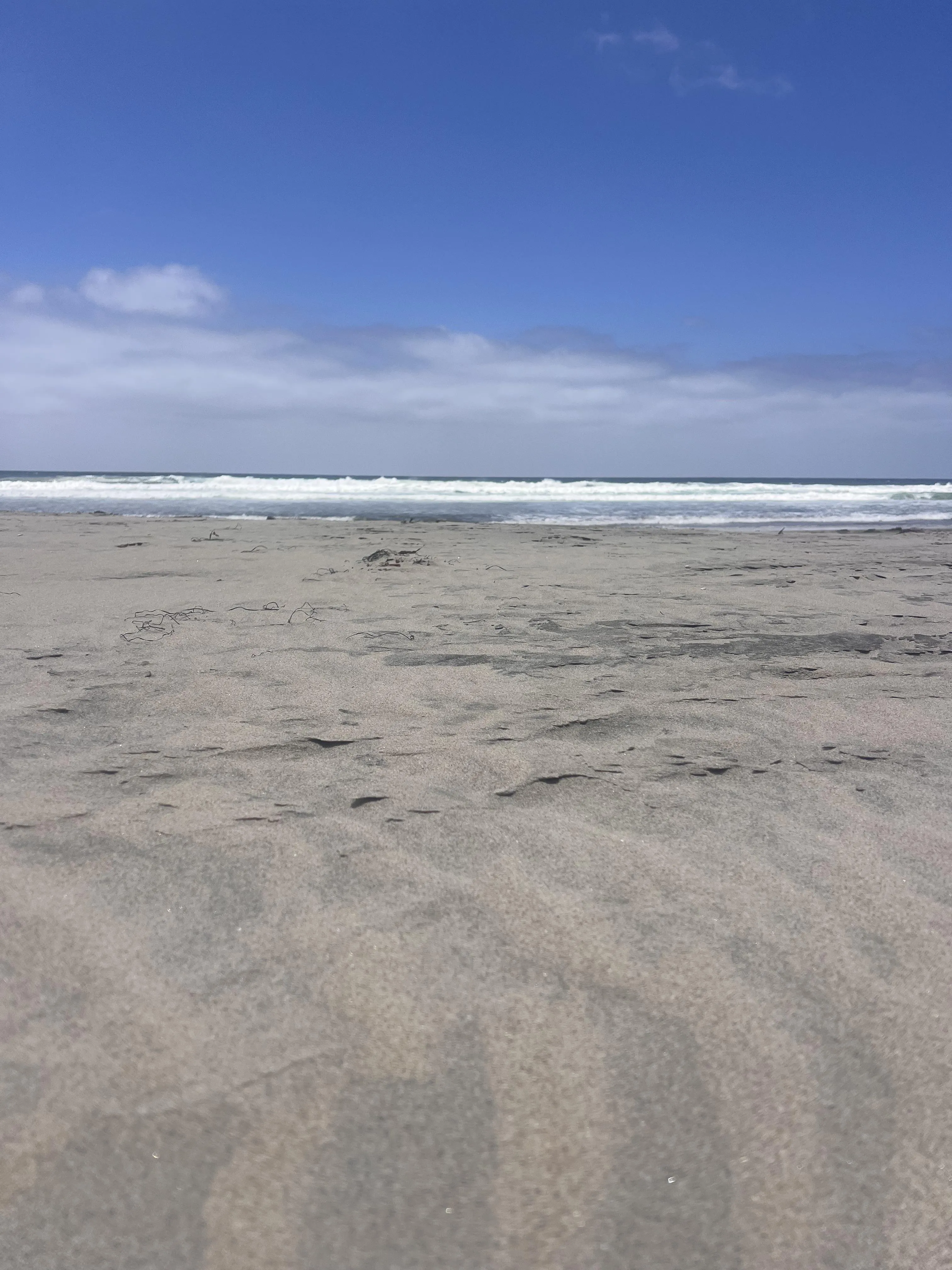 Windy but a gorgeous day