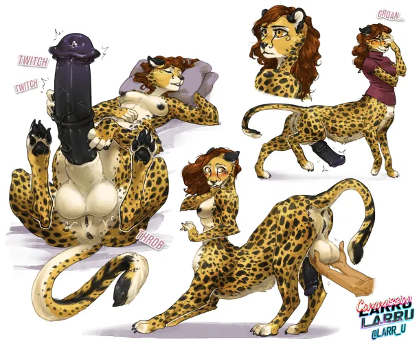 Cheetah taur (art by Larru Larru)