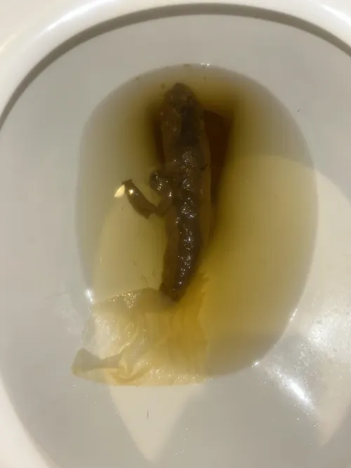 Morning Log from my stinky hairy man hole