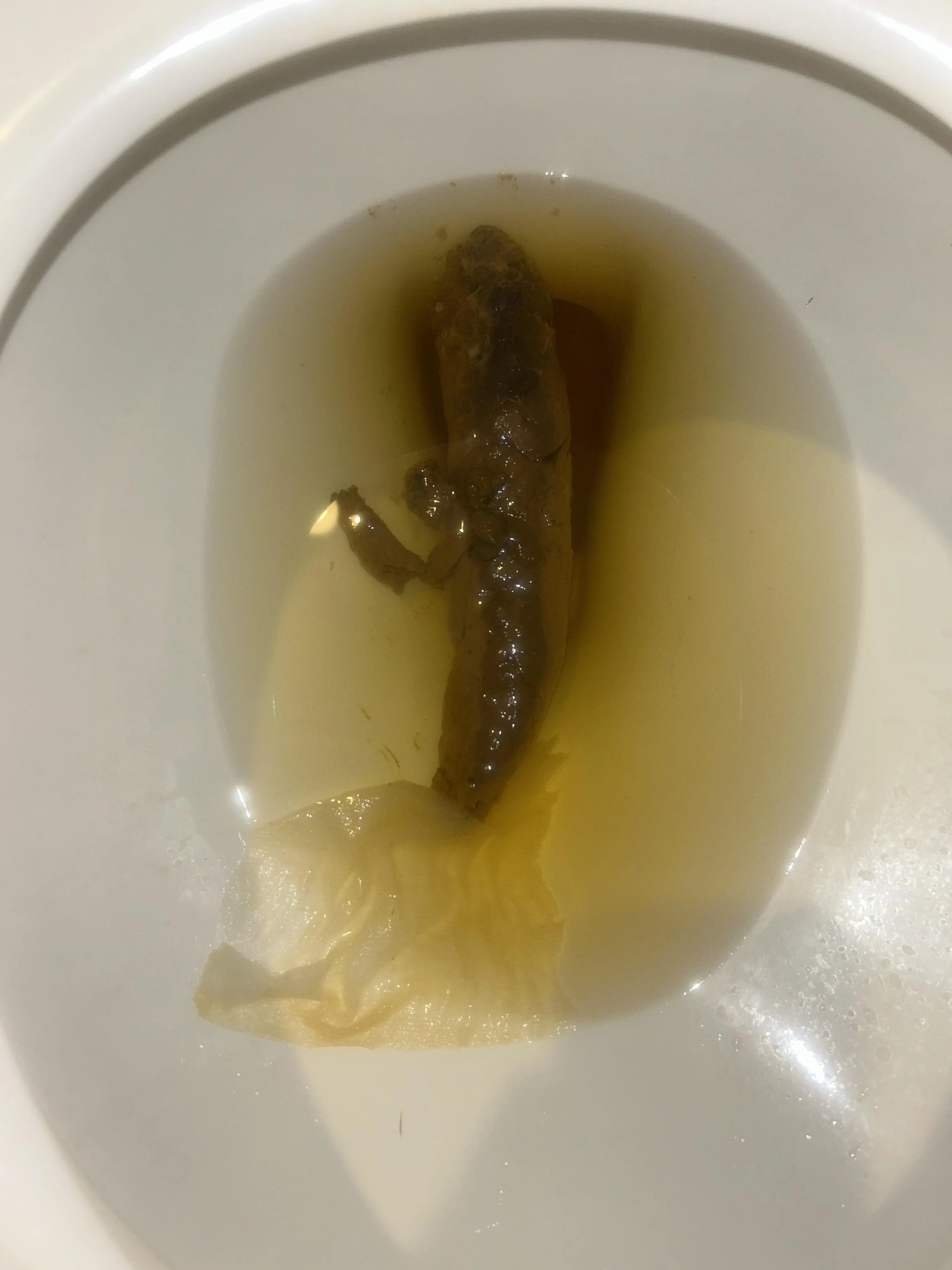 Morning Log from my stinky hairy man hole