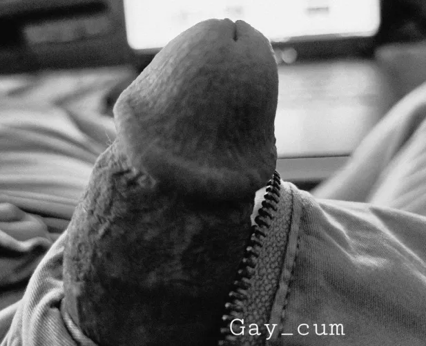 My #cock wanna be free He needs attention Would you help me? Make me hard Make me #cum Stuck in TLV...war but still horny Nudes will help 🤤🔥💦