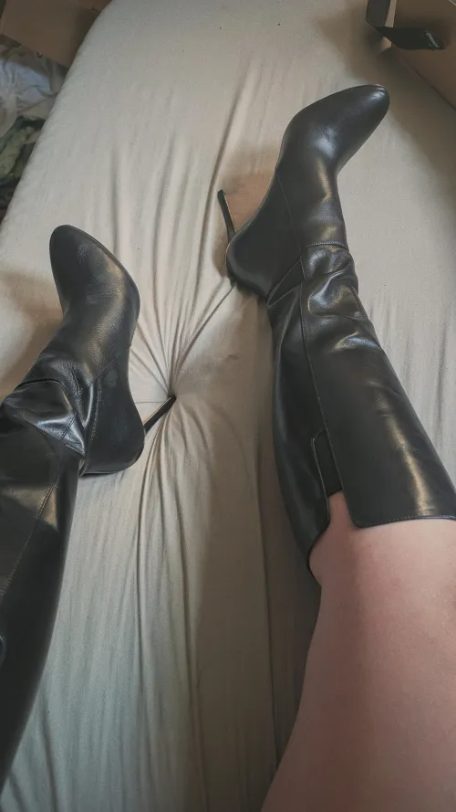 Tell me how you'd treat them if you were lucky enough to get close🔥