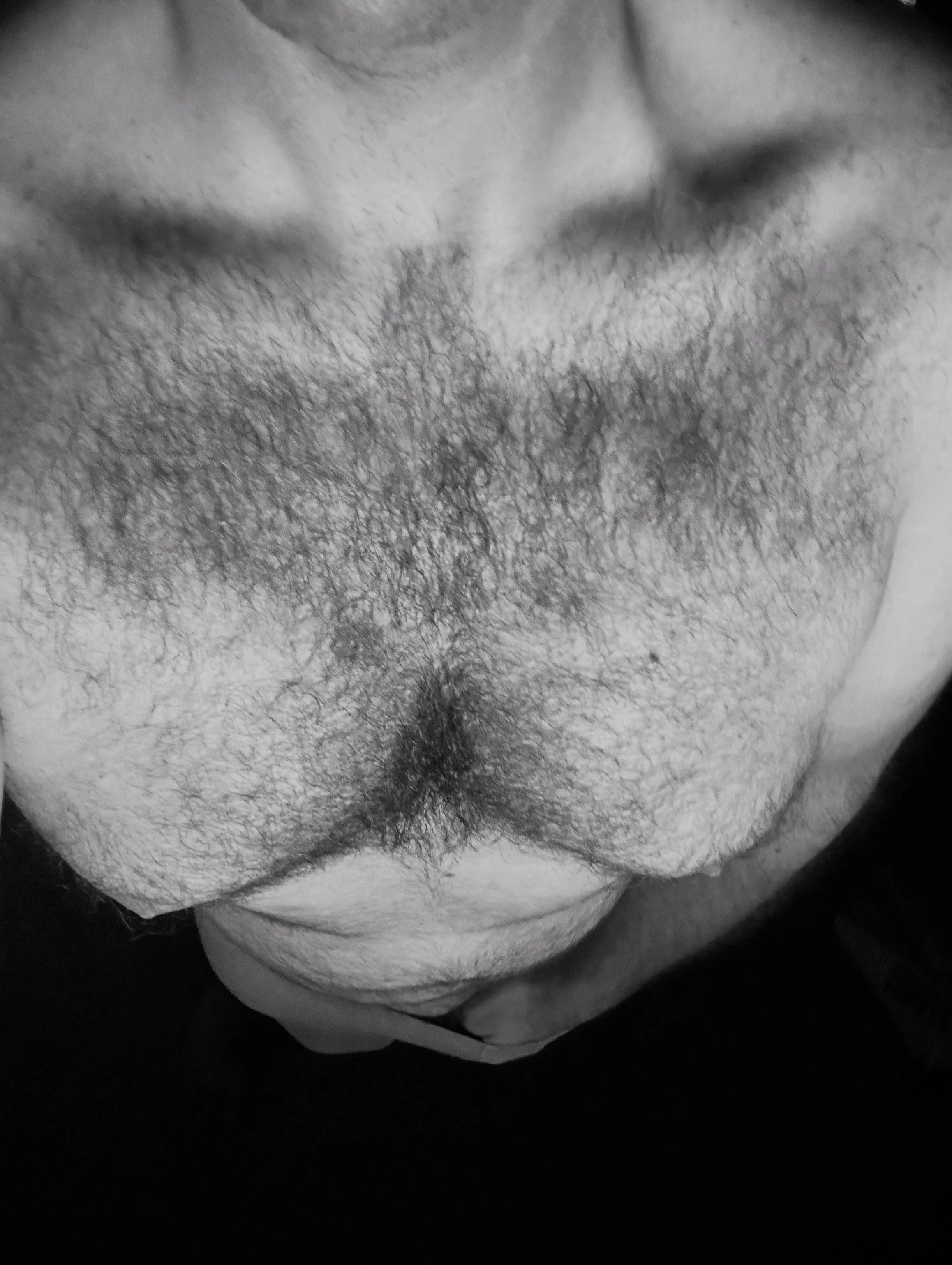 36 [M4F] BWC Bull daddy looking for fun. Anyone welcome