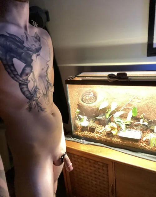 Any other terrarium fans?!