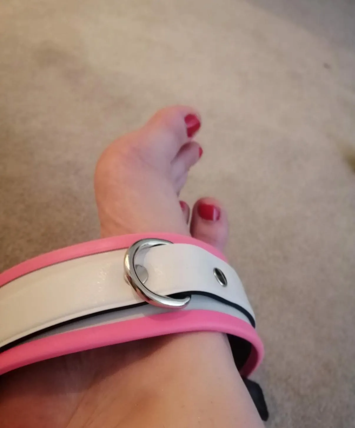 Who wants to wear the collar?