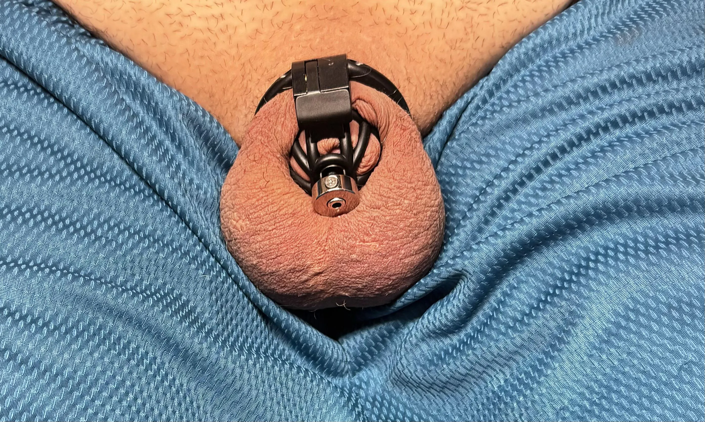 New cage no chance of getting out of this one