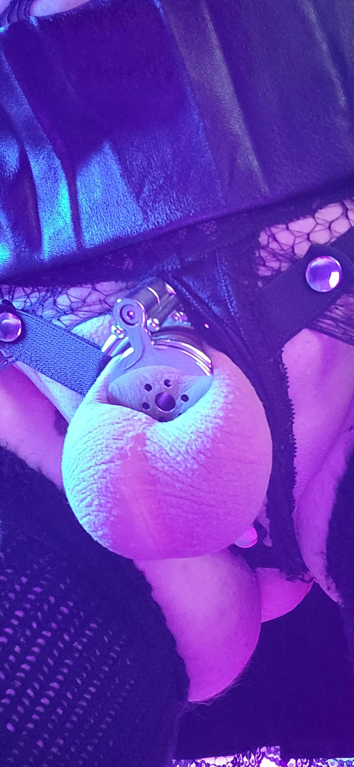 Slap the girlcum out of my balls... Please <3