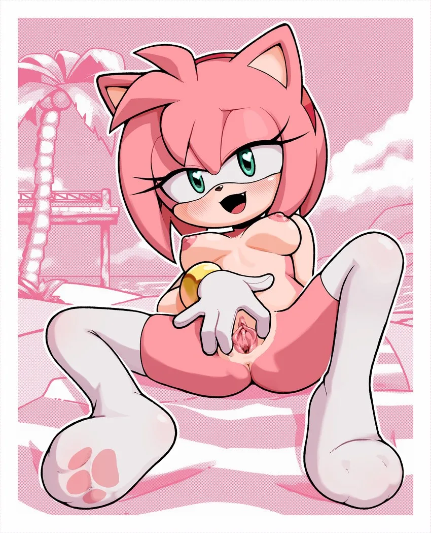 Amy rose is ready (gaturo)