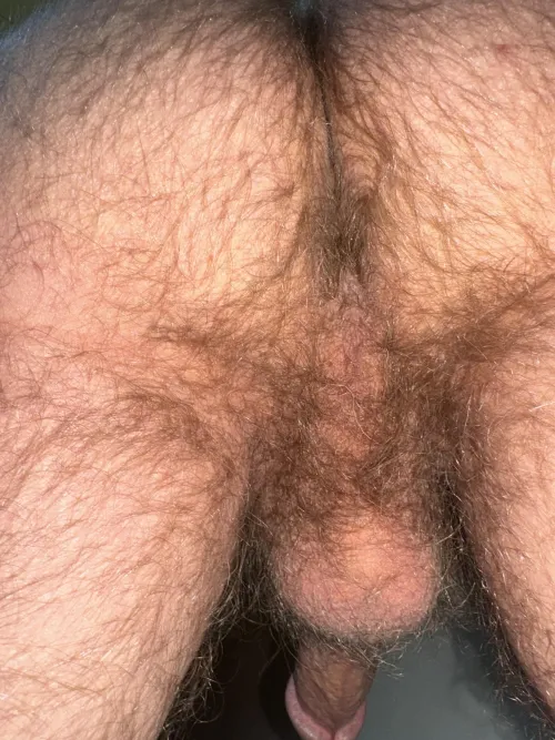 Do you like a hairy taint too?
