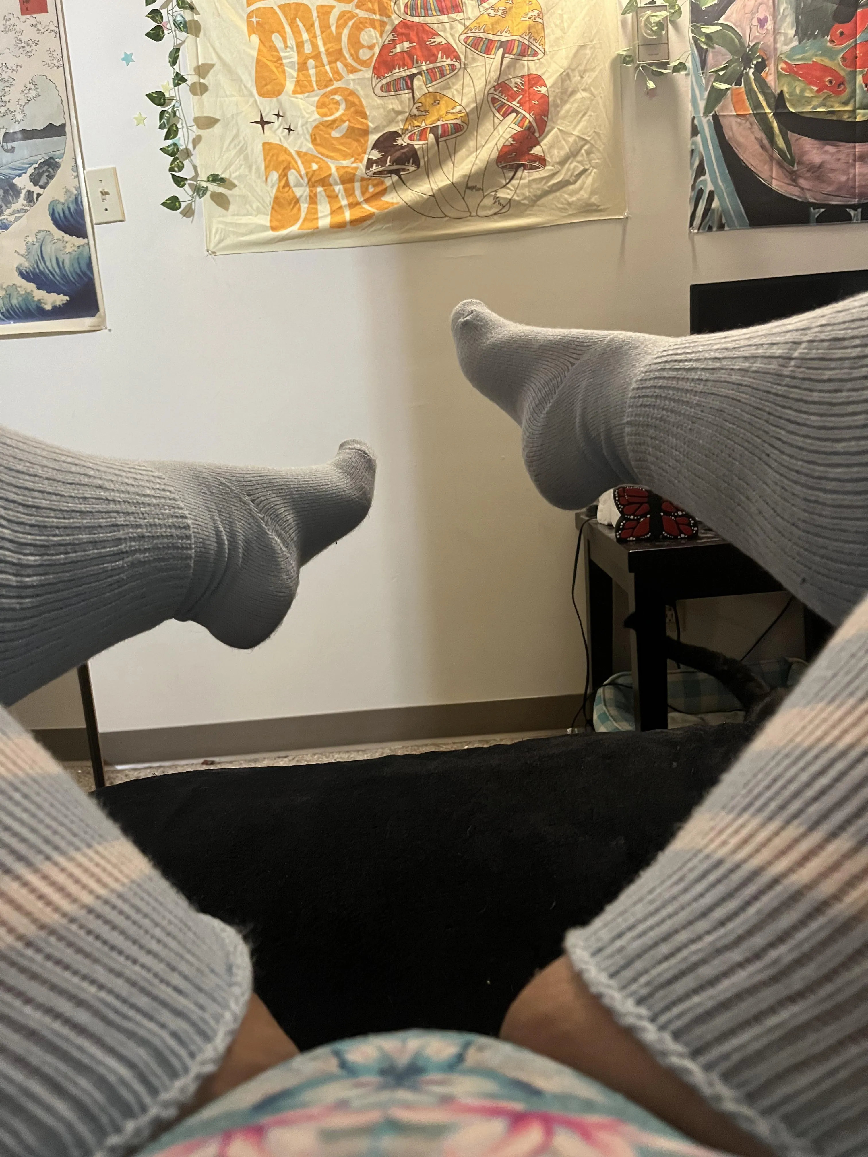 Feet, thighs or pussy?