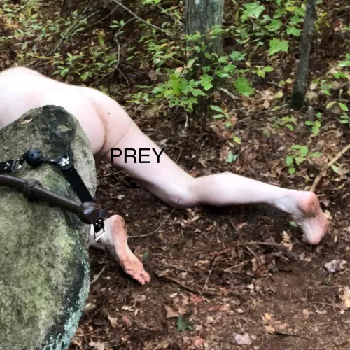 Hingham, MA -- Prey Roped, Naked and Alone! Primal BDSM Hunter is Near!