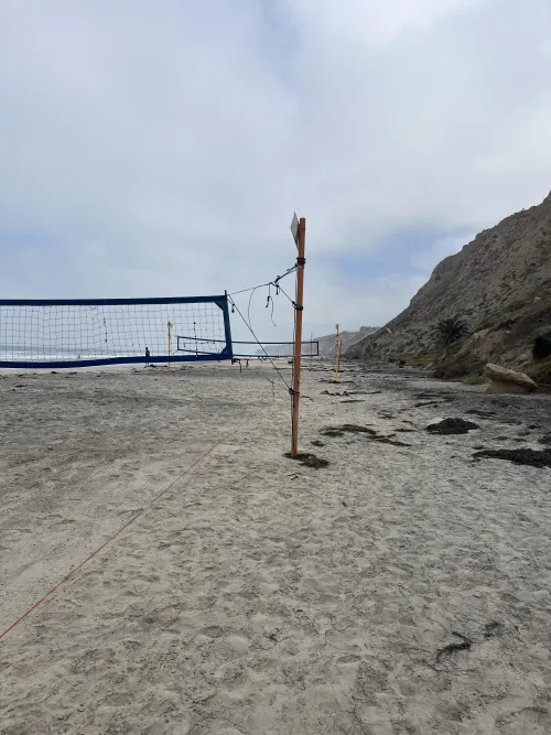 Nice to know the nets are there even in the morning