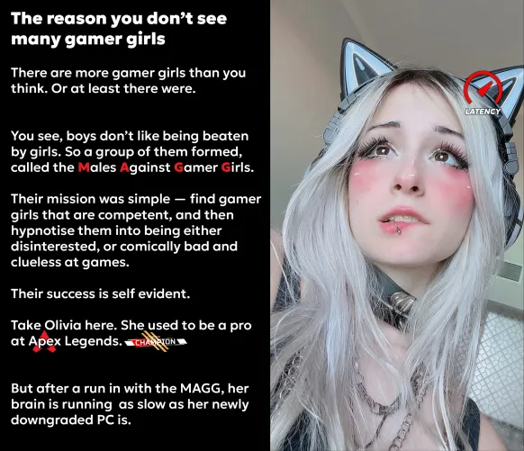 The Reason you don't see many Gamer Girls