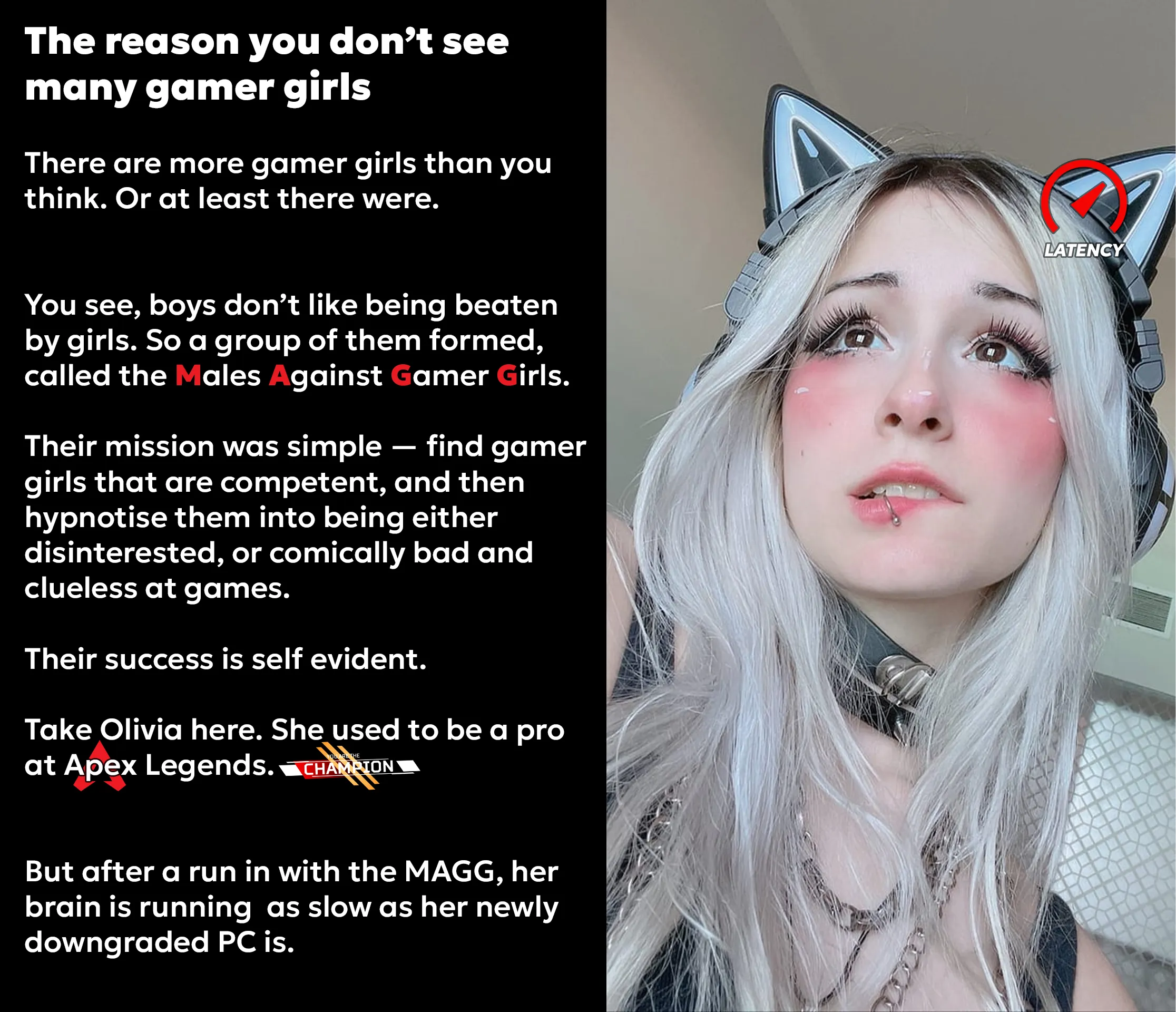 The Reason you don't see many Gamer Girls