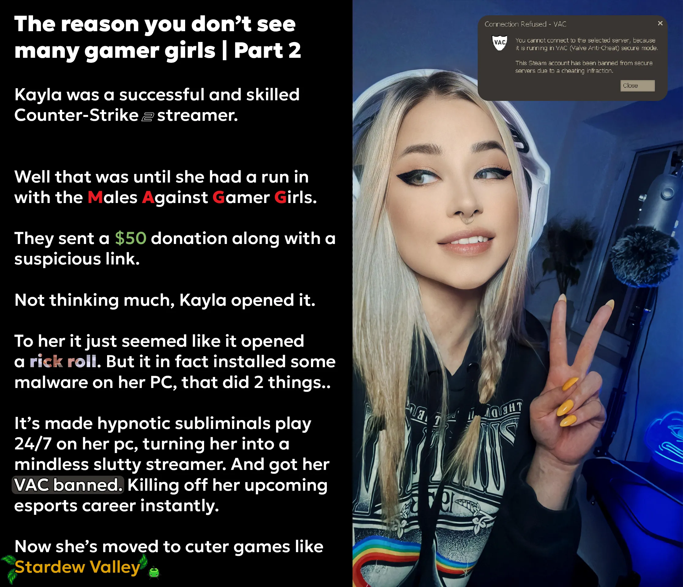 The Reason you don't see many gamer girls | Part 2