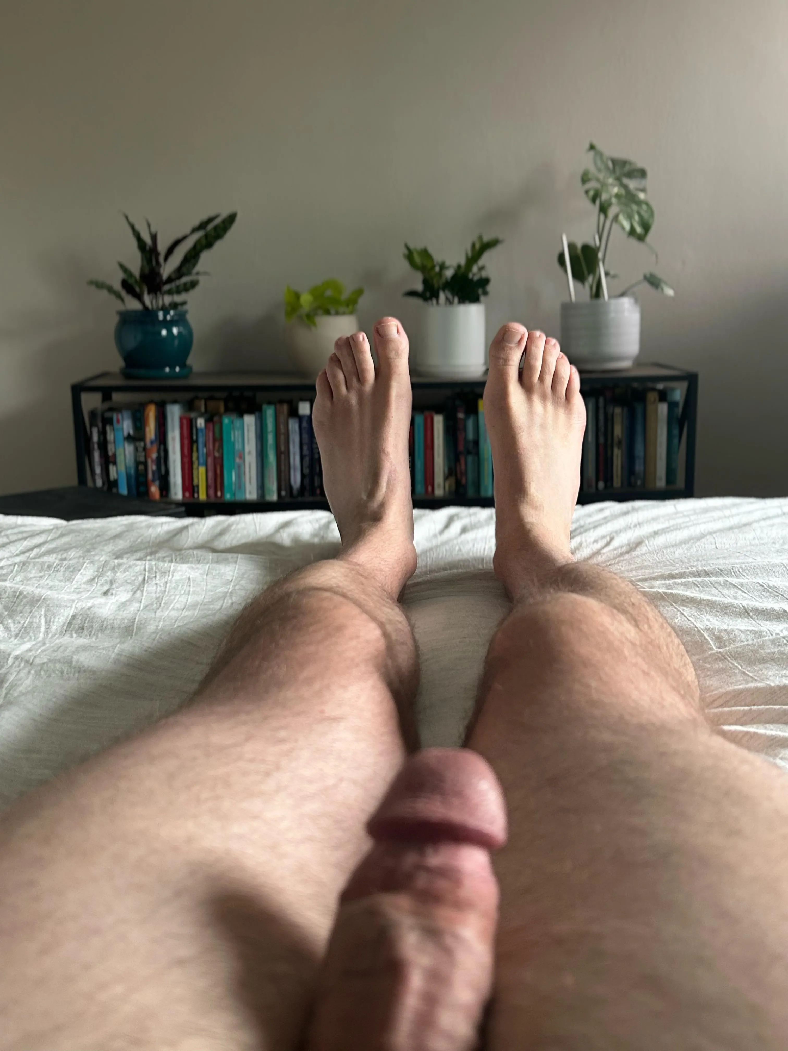 Follow my long legs up