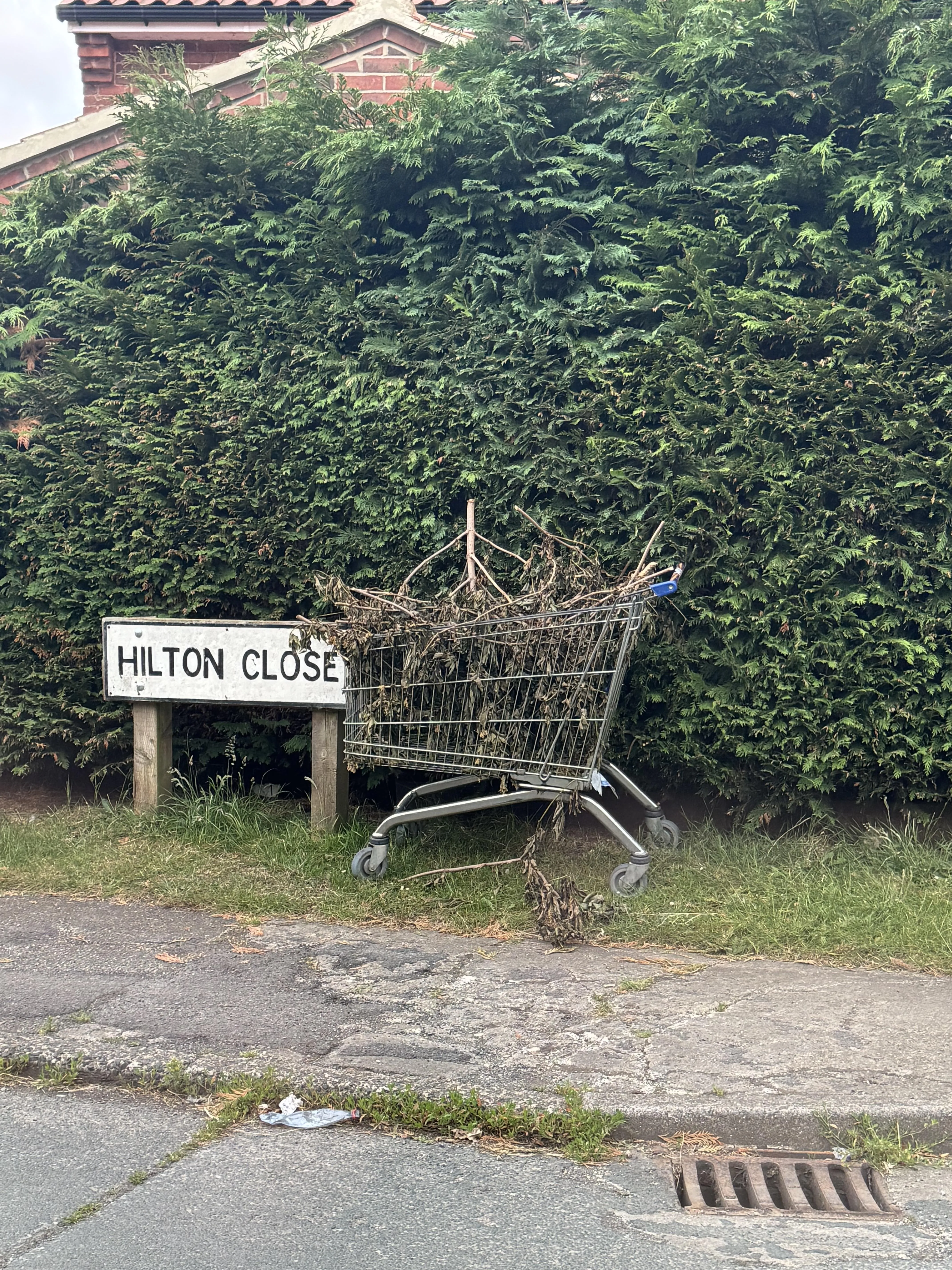 Hanging out on street corners with her bush out
