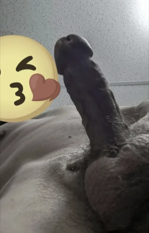 39m4f visiting Houghton this Wednesday