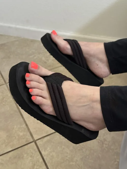 Fresh new color for today