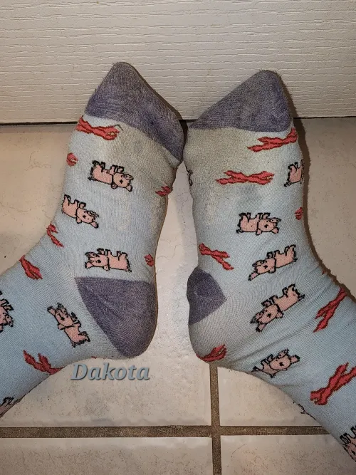 Who Ordered Filthy Piggies? [F]