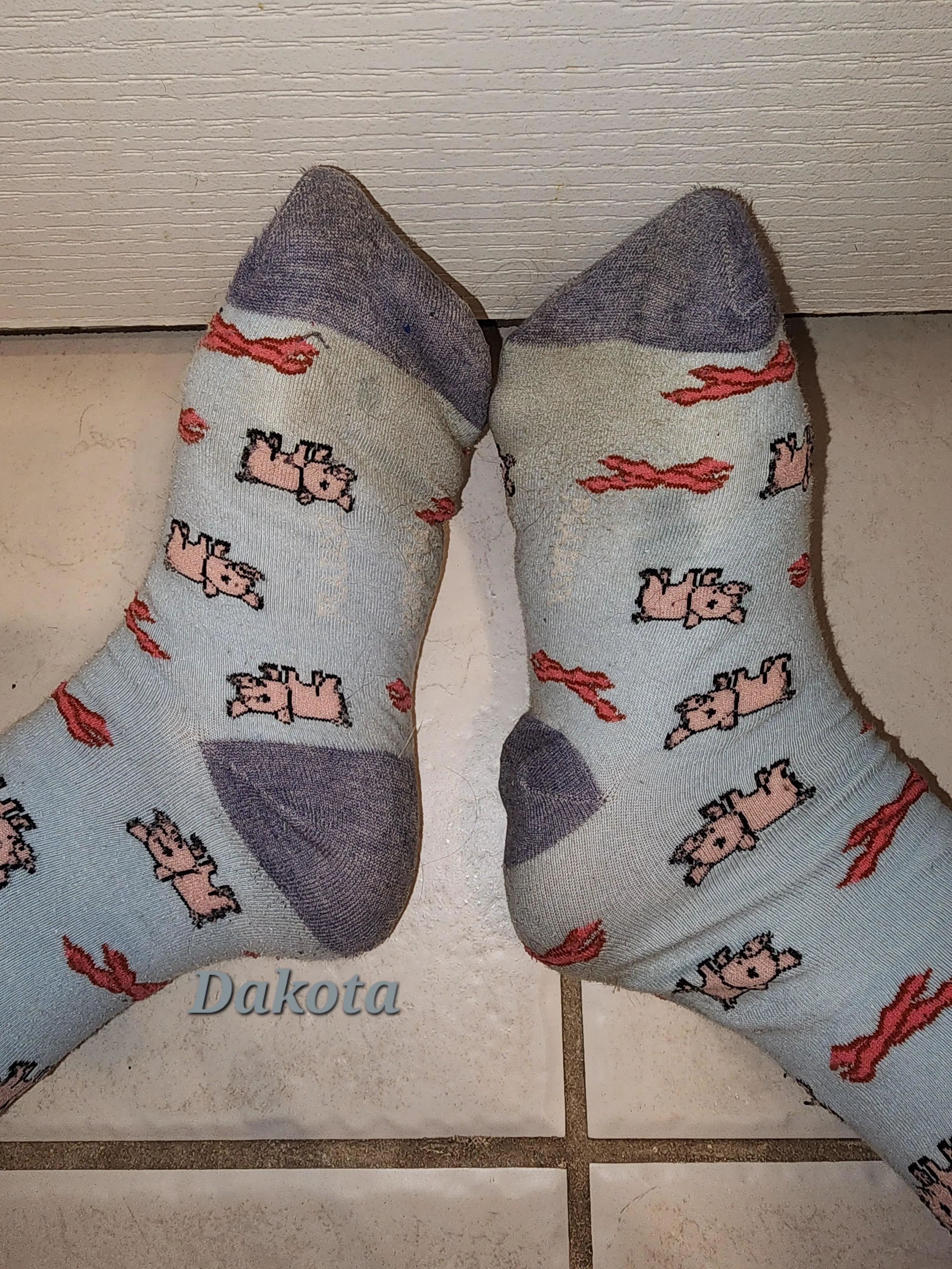 Who Ordered Filthy Piggies? [F]