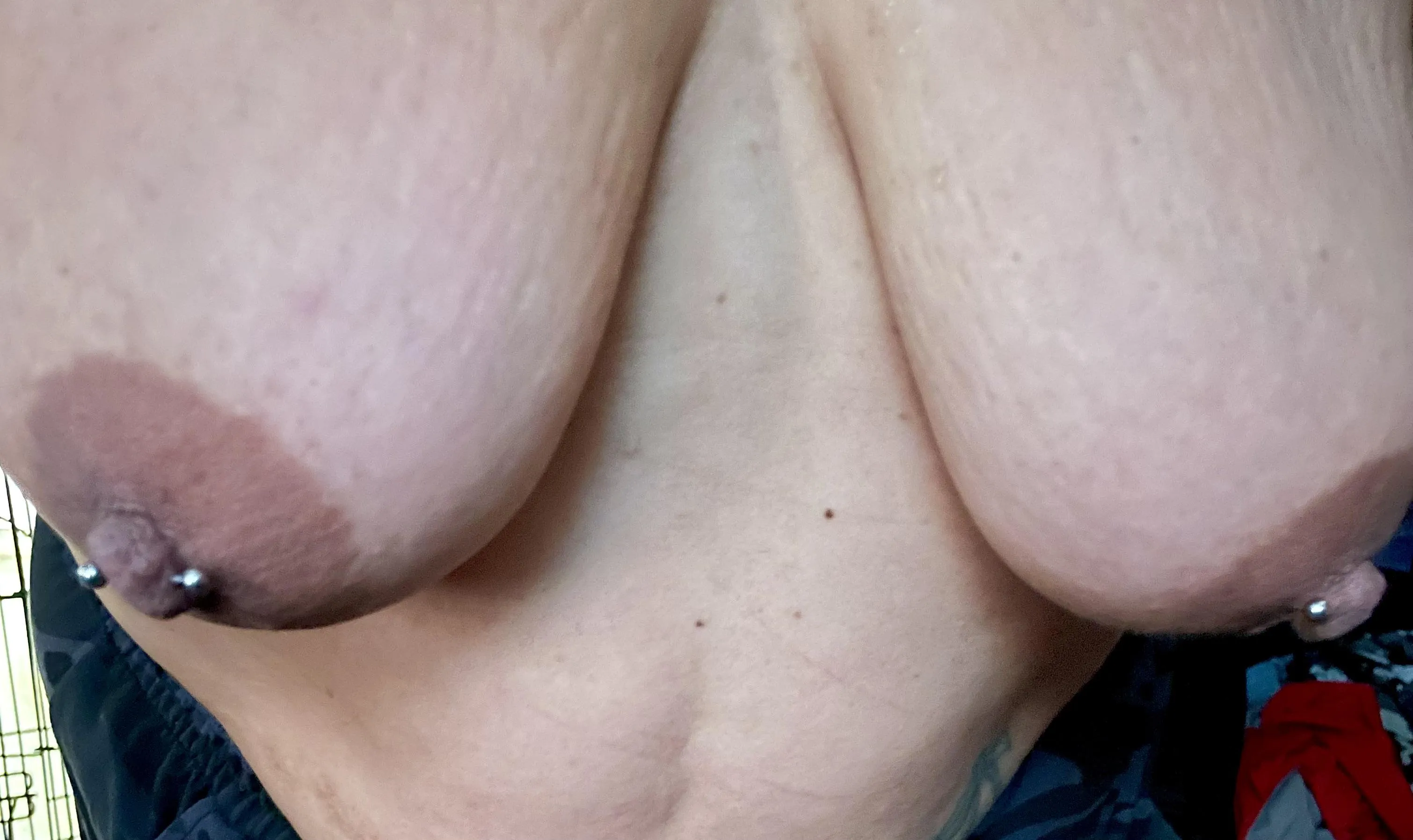 50 [F] loves to show my boobs!